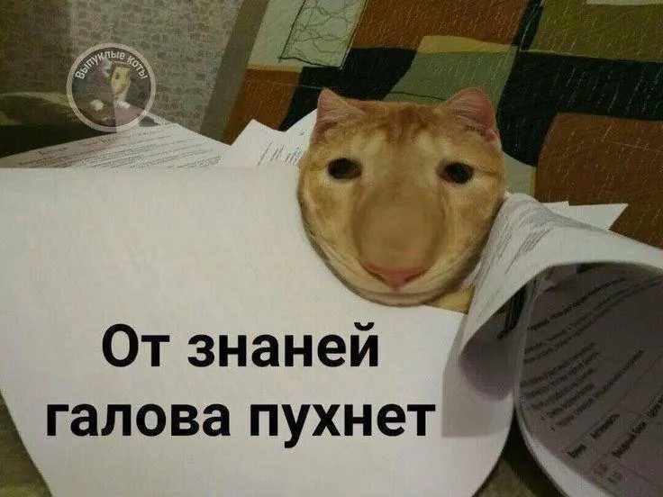 Минспорт планирует ввести испытание по управлению небольшим дроном в комплексе ГТО: в этом году — в тестовом режиме, с следующего — повсеместно. Знак по этому нормативу может добавить до 10 баллов к результатам экзамена.