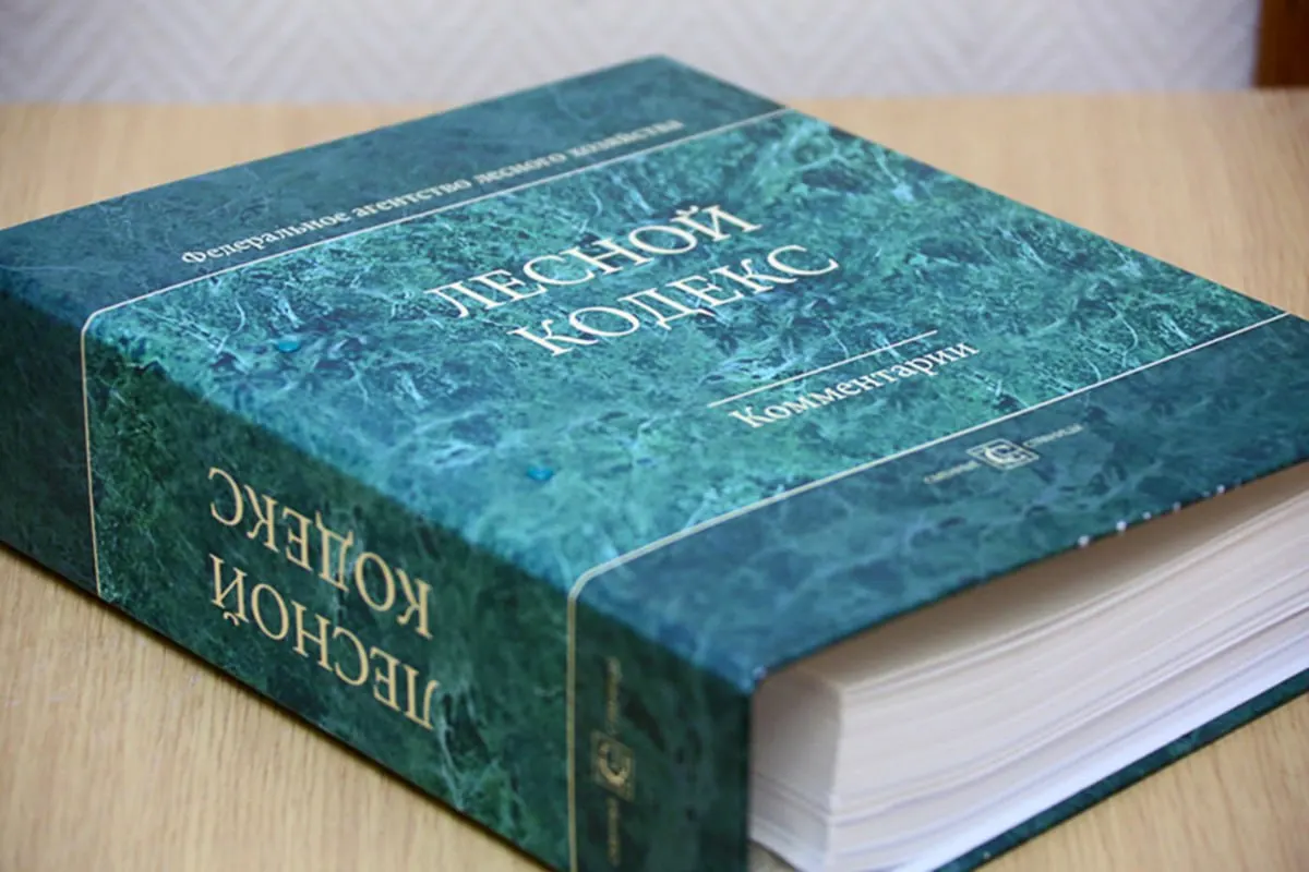 Эксперт по лесному хозяйству указывает, что 79 пакетов поправок к Лесному кодексу 2006 года фактически создали новый документ. По его мнению, кодекс нужно упростить и заменить.