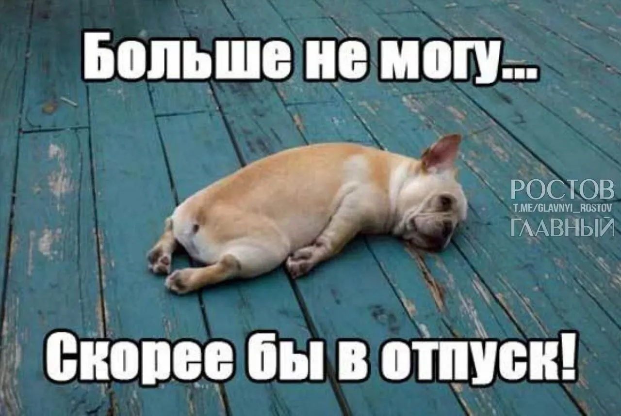 В Госдуме предложили расширить минимальную продолжительность отпуска с 28 до 35 дней — как способ компенсировать выходные, включаемые в отпуск, и снизить риск профессионального выгорания.