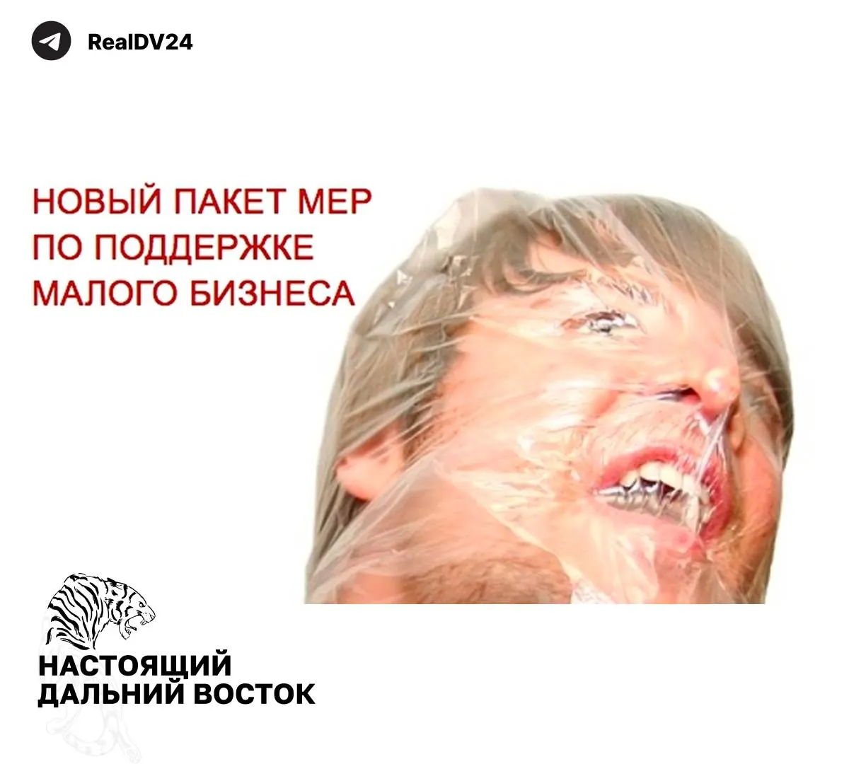 Федеральная налоговая служба направила регионам рекомендации по росту налоговых поступлений: расширение налогооблагаемой недвижимости, повышение транспортного налога, пересмотр льгот и усиление контроля за землёй и имуществом.