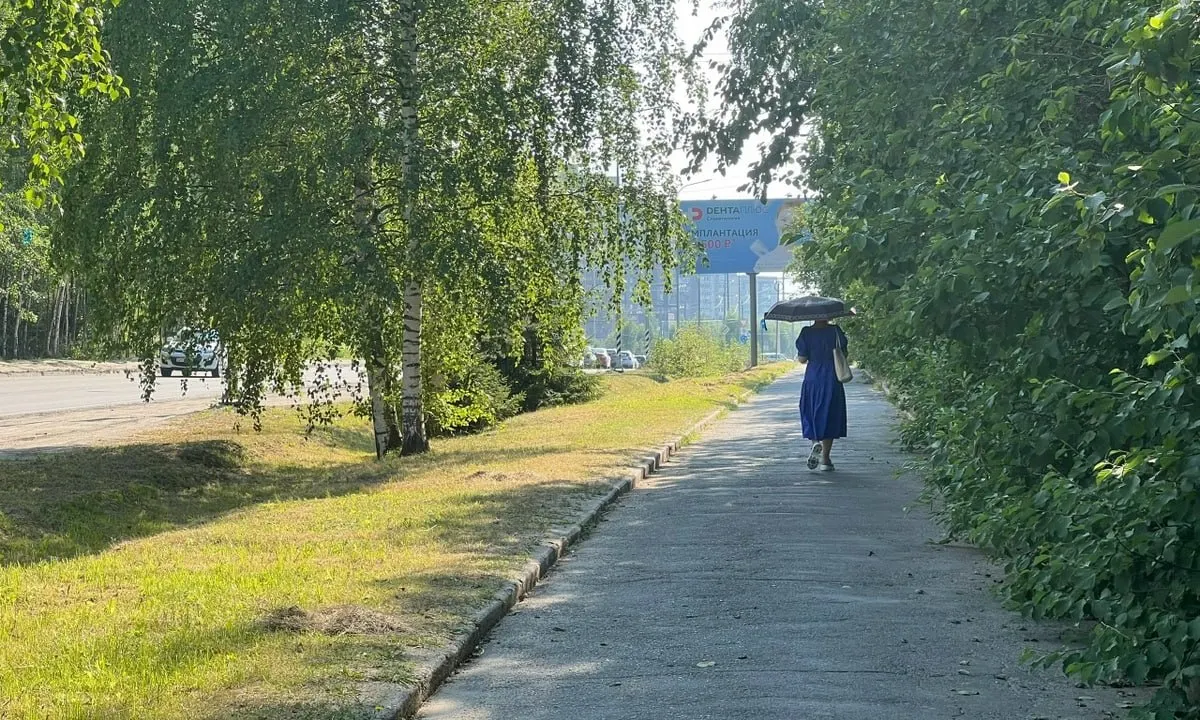 Гидрометцентр прогнозирует повышение температур выше климатической нормы в Карелии, Мурманской и Архангельской областях, на Северном Кавказе и на Дальнем Востоке.