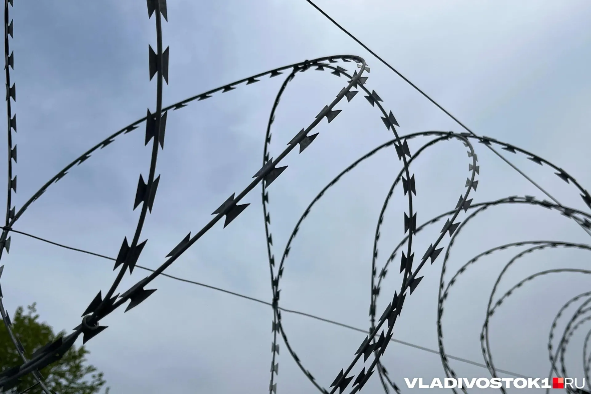 Центральный районный суд Хабаровска признал виновными 26‑летнего жителя Хабаровска и 27‑летнюю жительницу Приморского края: они под видом военных юристов обманом выманивали деньги у участников СВО и их родственников.