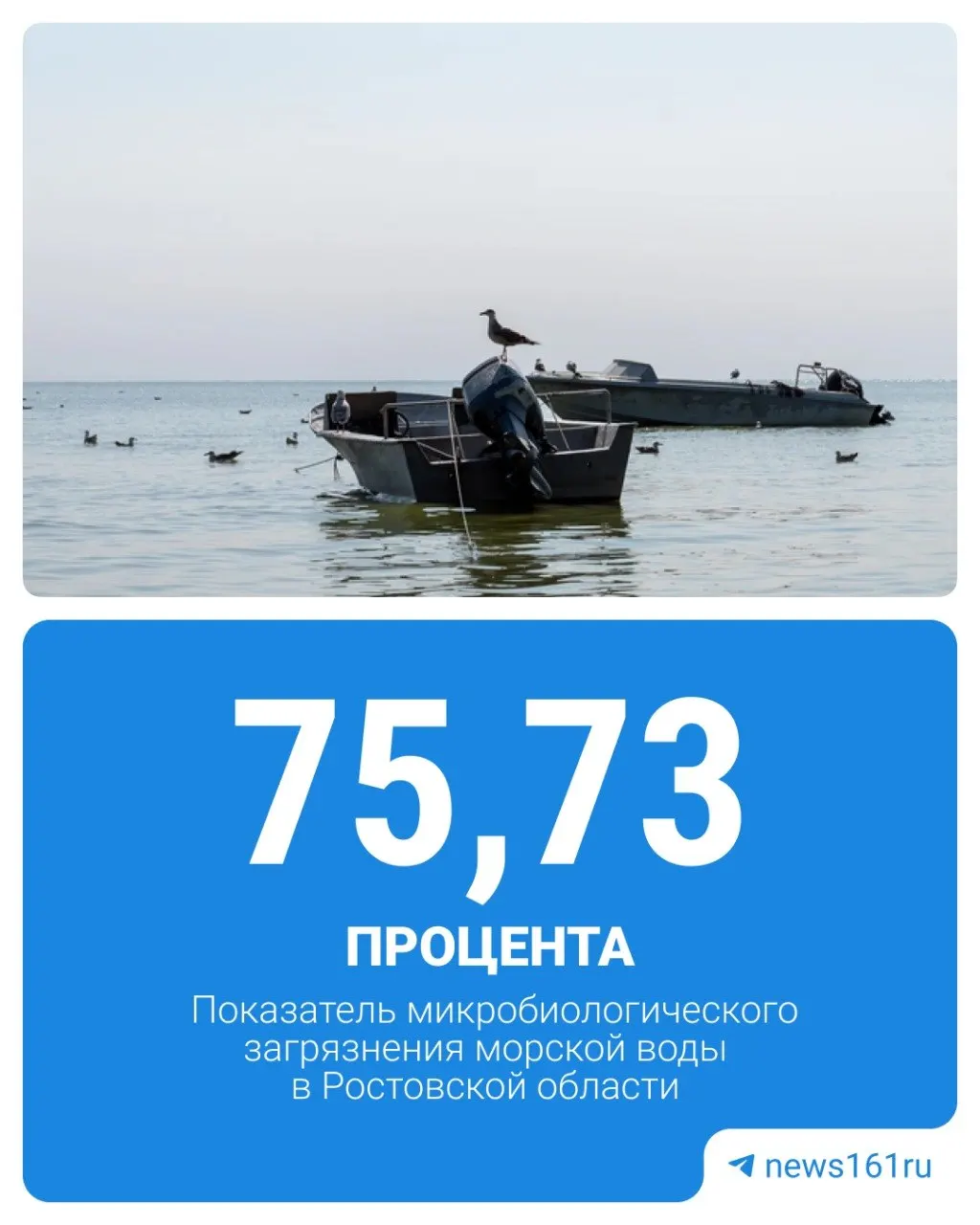По данным Роспотребнадзора за 2025 год, на побережье Таганрогского залива 75,73% проб не соответствуют нормативам — три из четырёх.