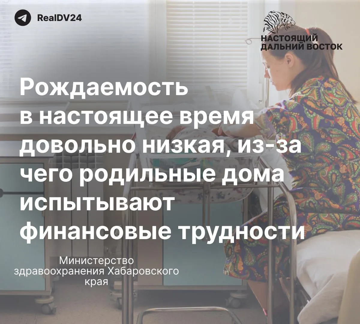 Жительница Хабаровска пожаловалась на отсутствующие сиденья на унитазах и сломанный смеситель в душевой роддомов. В региональном Минздраве заявили, что из-за снижения числа родов учреждения испытывают финансовые трудности и пообещали ремонты в 2026 году.