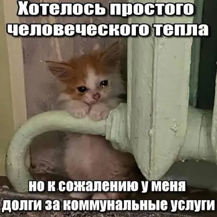 ВС подтвердил, что суммы по капремонту со сроком исковой давности более трёх лет не подлежат отражению в квитанциях и принудительному взысканию — это важно для покупателей вторичного жилья и наследников.
