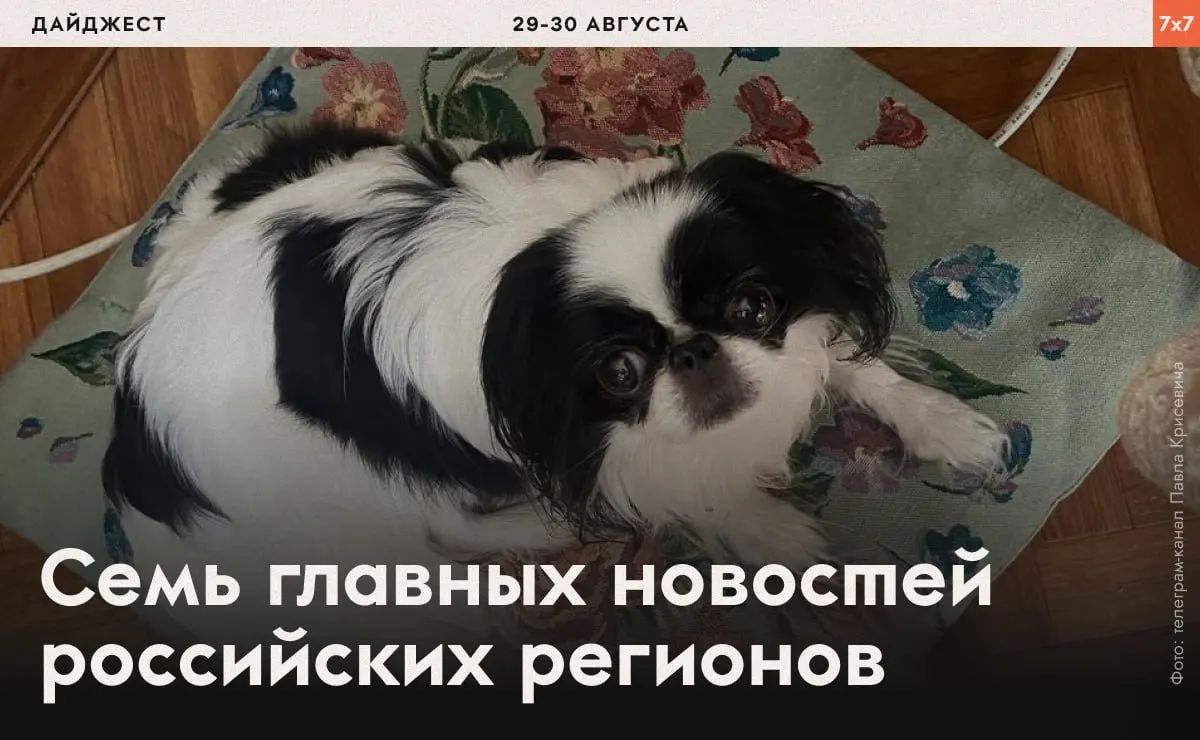 Давления властей, аресты и региональные запреты: обзор ключевых событий по всей России.