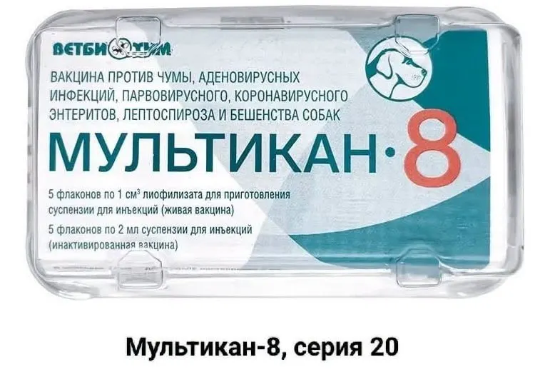 Владельцы собак требуют огласки и независимого расследования гибелей питомцев после прививок вакциной «Мультикан-8» в нескольких регионах.