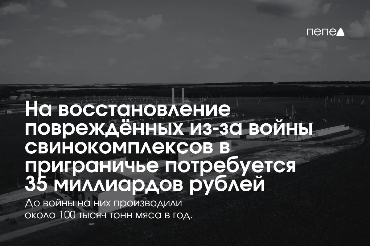Сложная ситуация в Белгородской, Курской и Брянской областях требует масштабной реконструкции агропроизводства после обстрелов и атак БПЛА.